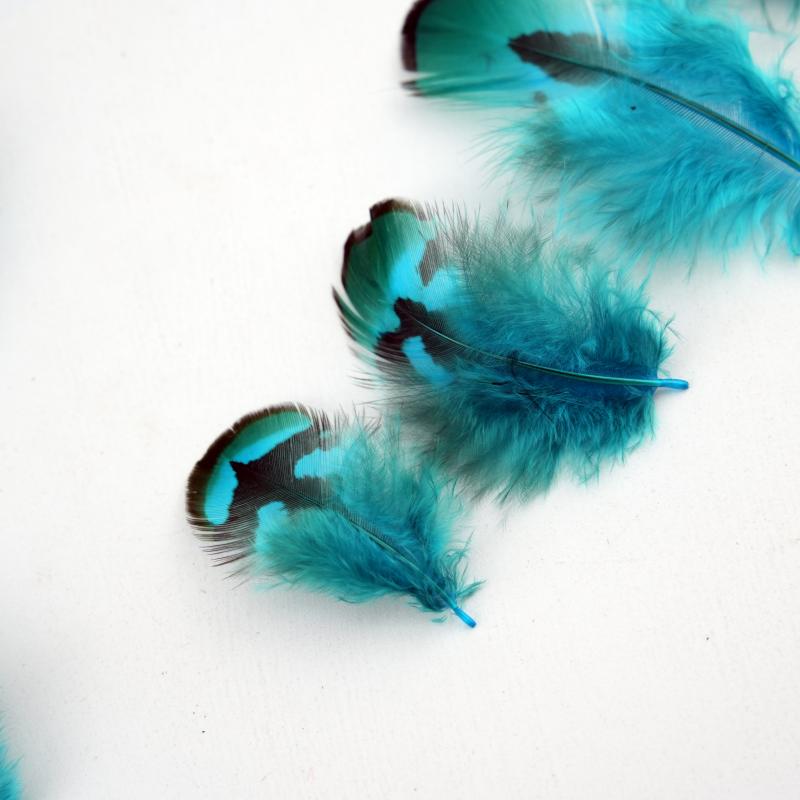 Natural DIY Pheasant Feathers  - Wedding Supply In Bulk incelemesi ve fiyatı
