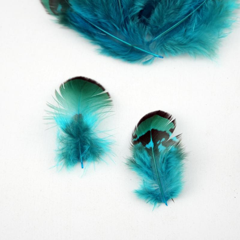 Natural DIY Pheasant Feathers  - Wedding Supply In Bulk incelemesi ve fiyatı