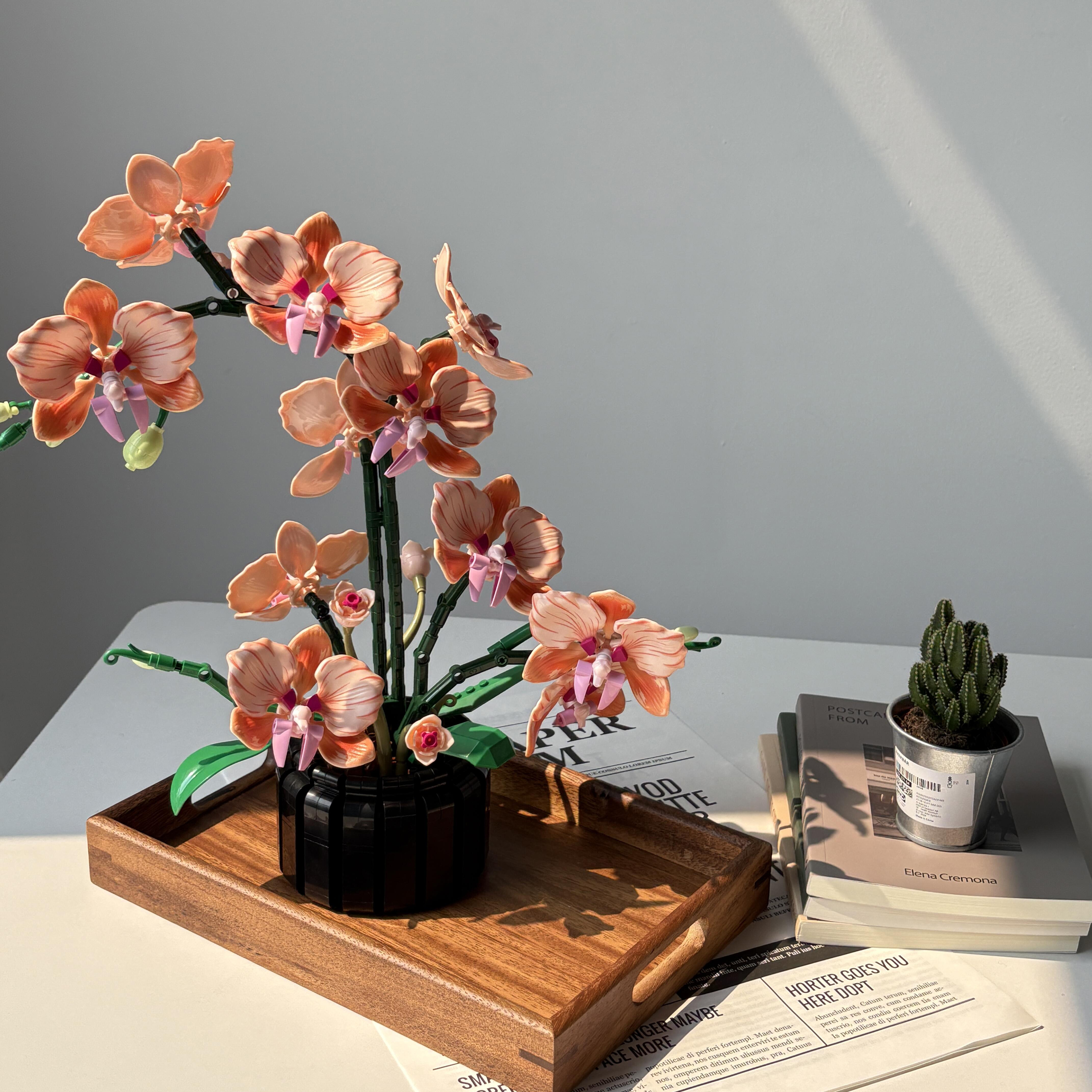 Orange Phalaenopsis Orchid Bui - Flower Girl Basket incelemesi ve fiyatı